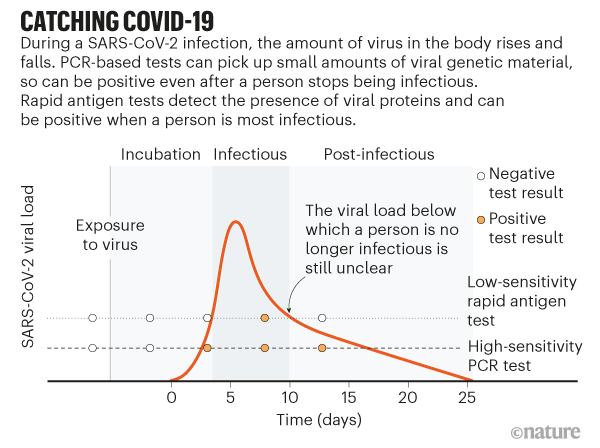 Covid viral load